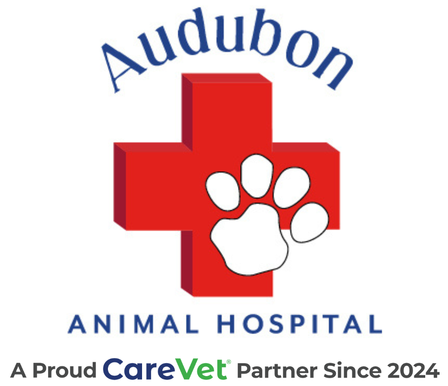 Audubon Animal Hospital Logo